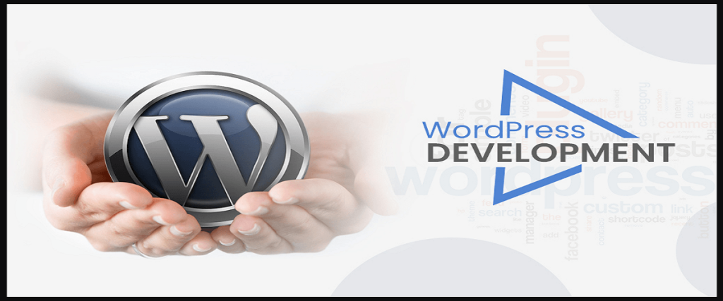 Case Studies of Successful Custom WordPress Development Projects | WordPress development services