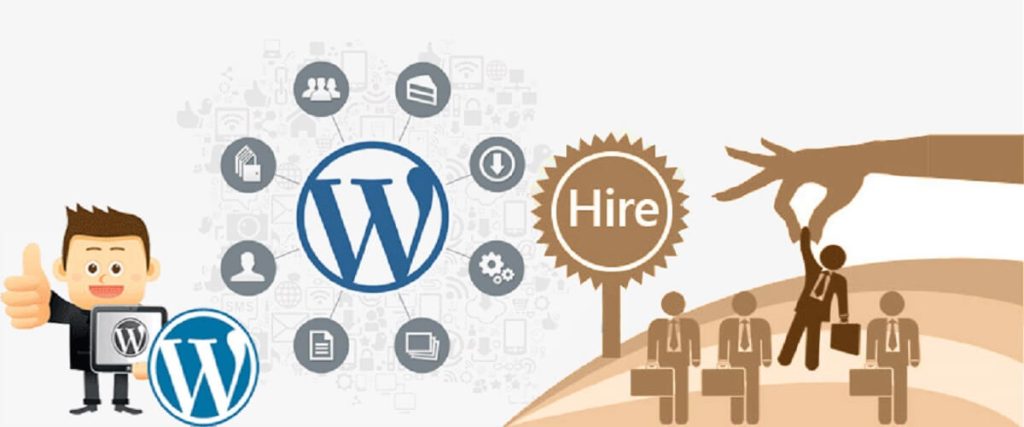 Hire a Dedicated WordPress | WordPress Developer