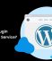 What is WordPress Plugin Development Service?
