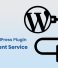 What is a Custom WordPress Plugin Development Service?