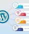 Working Process of a WordPress Plugin Development Company
